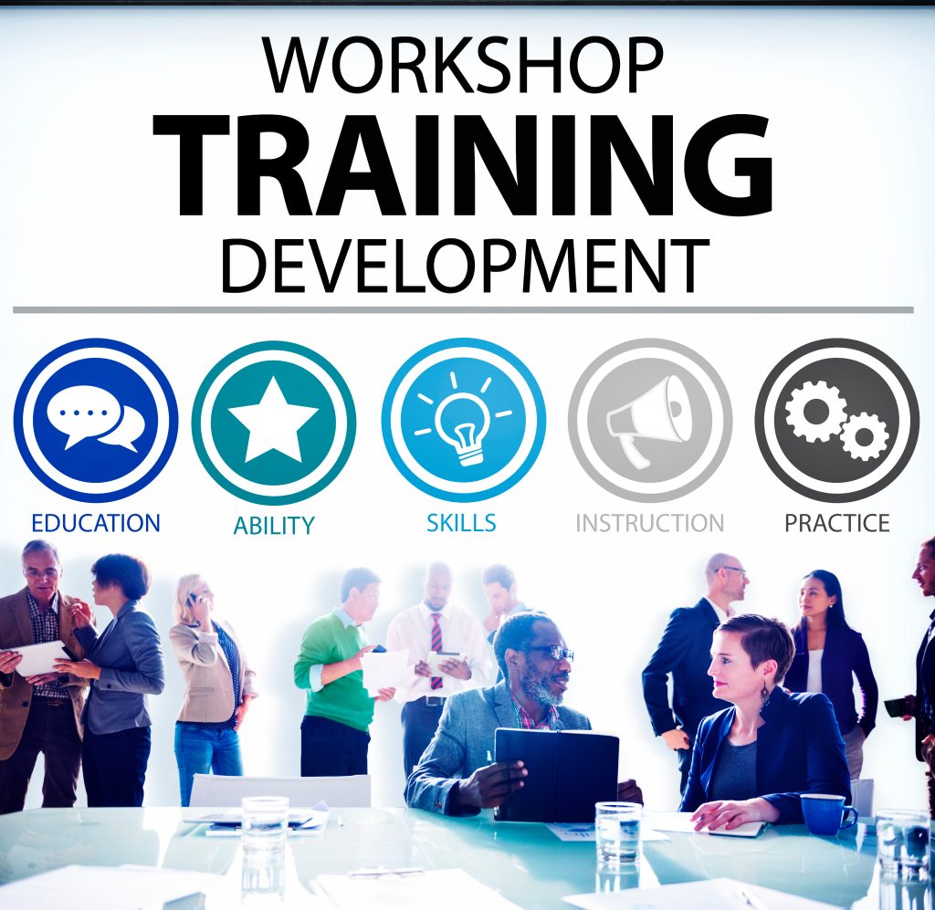 Workshop training development with professionals talking